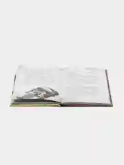 Большое свинство, Под редакцией Д. Кузнецовой