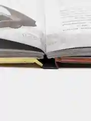 Большое свинство, Под редакцией Д. Кузнецовой