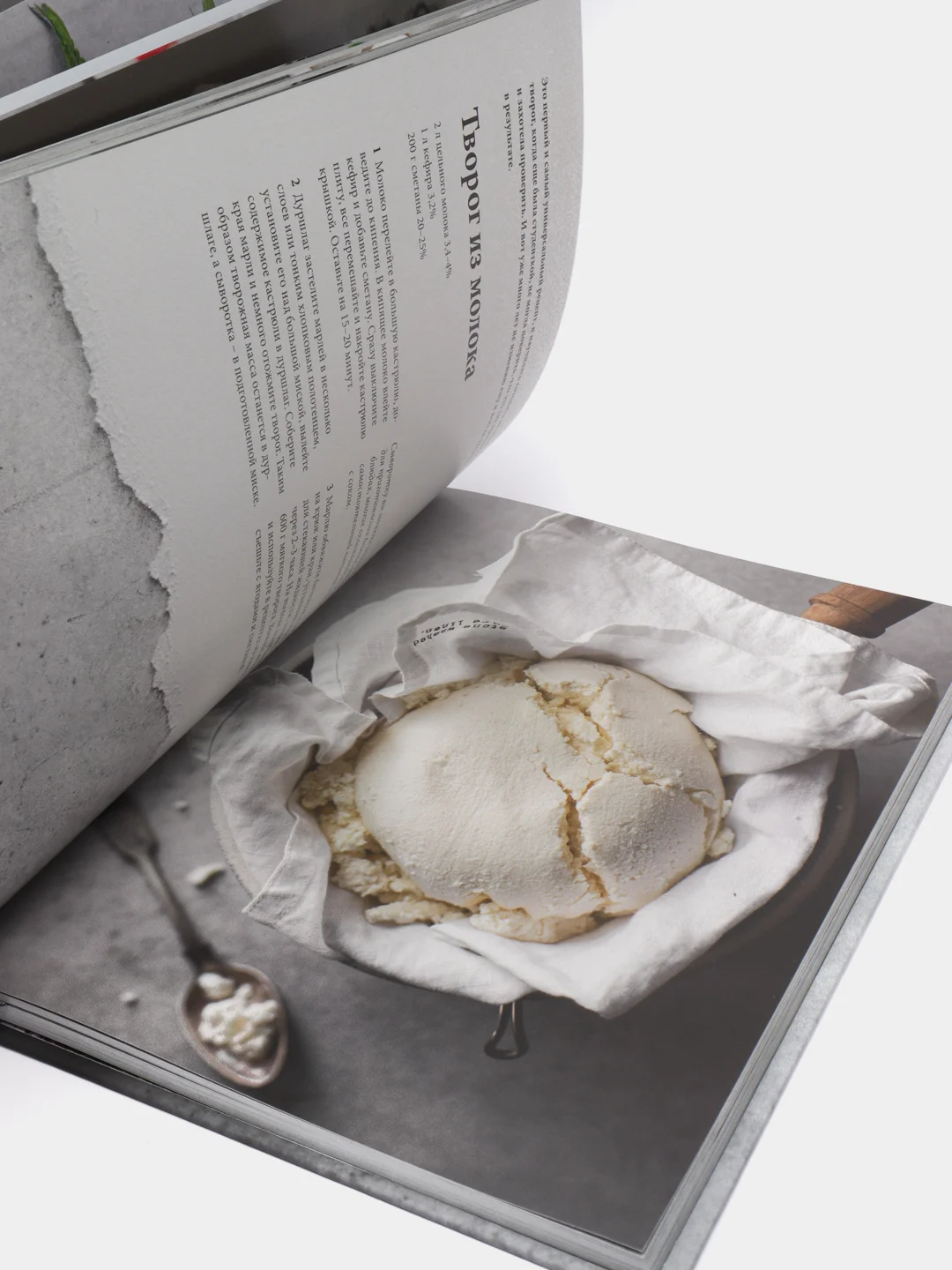 Творожная книга, Олеся Куприн