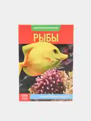 Коралловый книга для детей Мини - энциклопедии