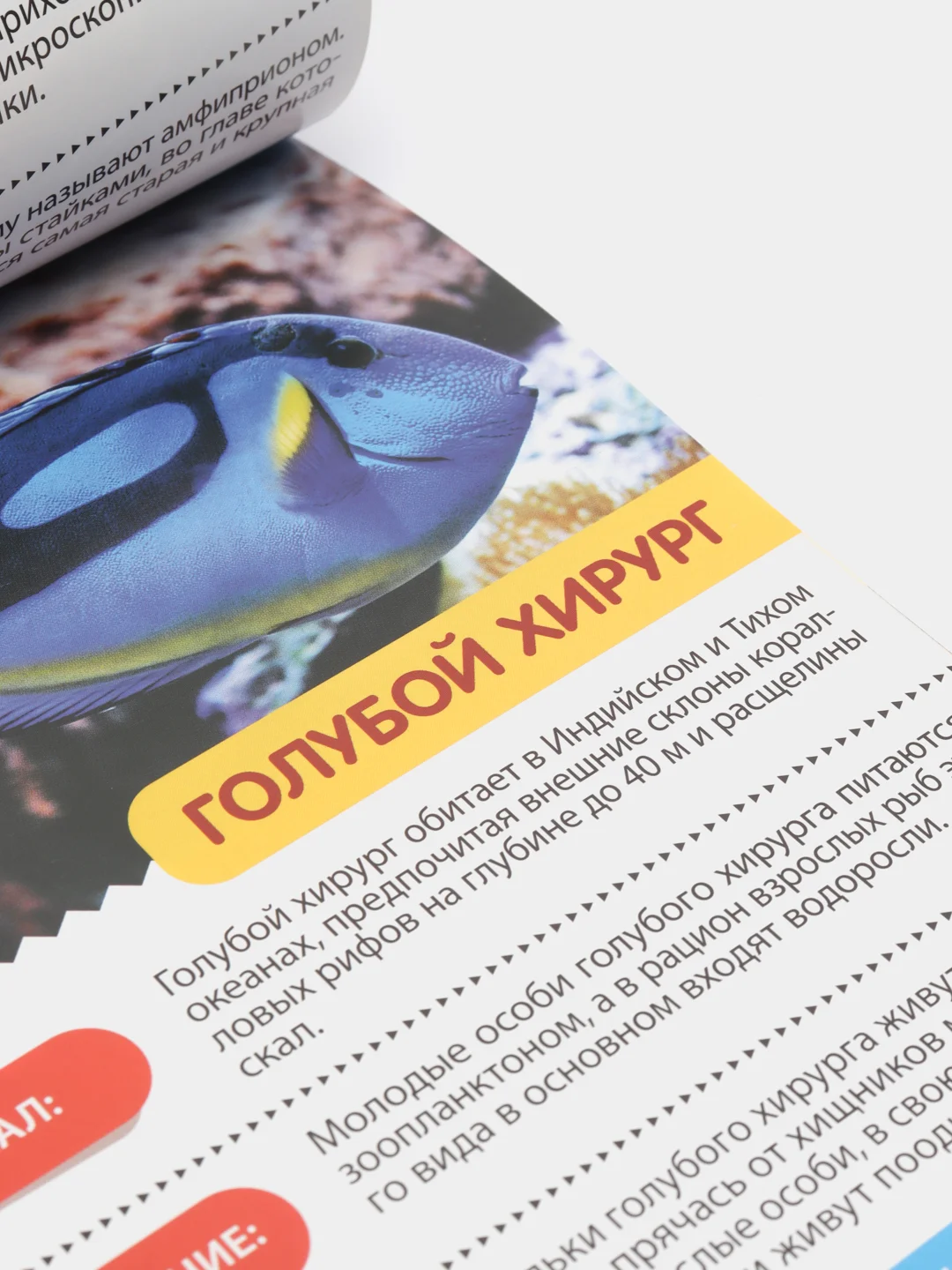 Коралловый книга для детей Мини - энциклопедии