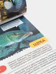 Коралловый книга для детей Мини - энциклопедии