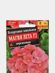 Пеларгония Магия лета Персиковая (семена,цветы)