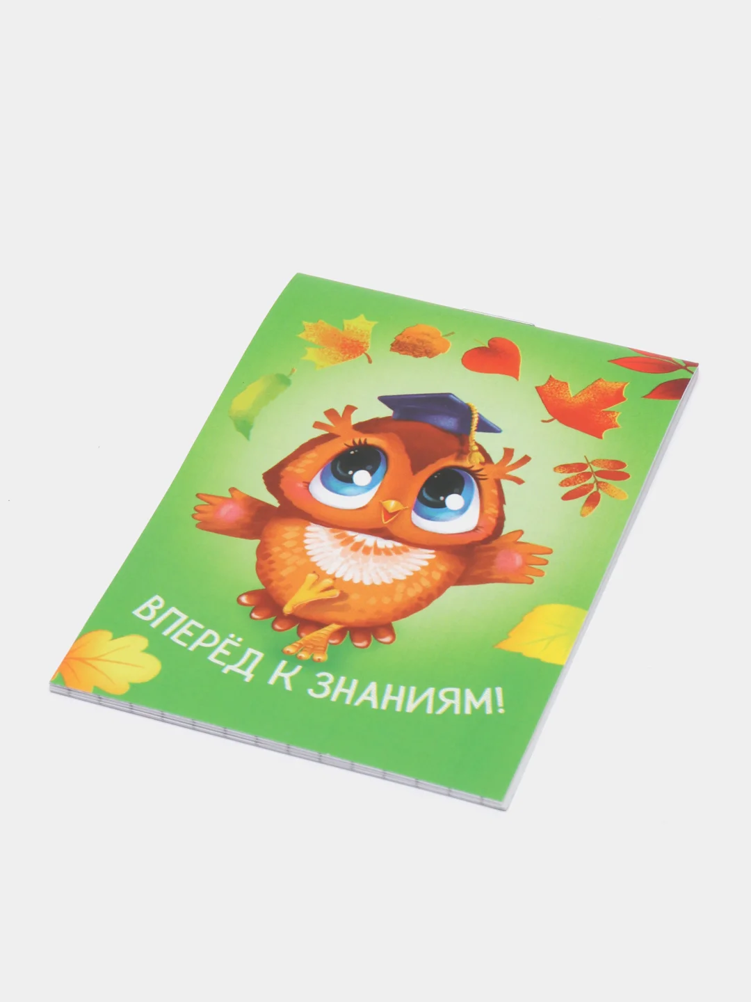 Лесной зеленый мини-блокнот, сувенир на первое сентября, А 7, 16 л