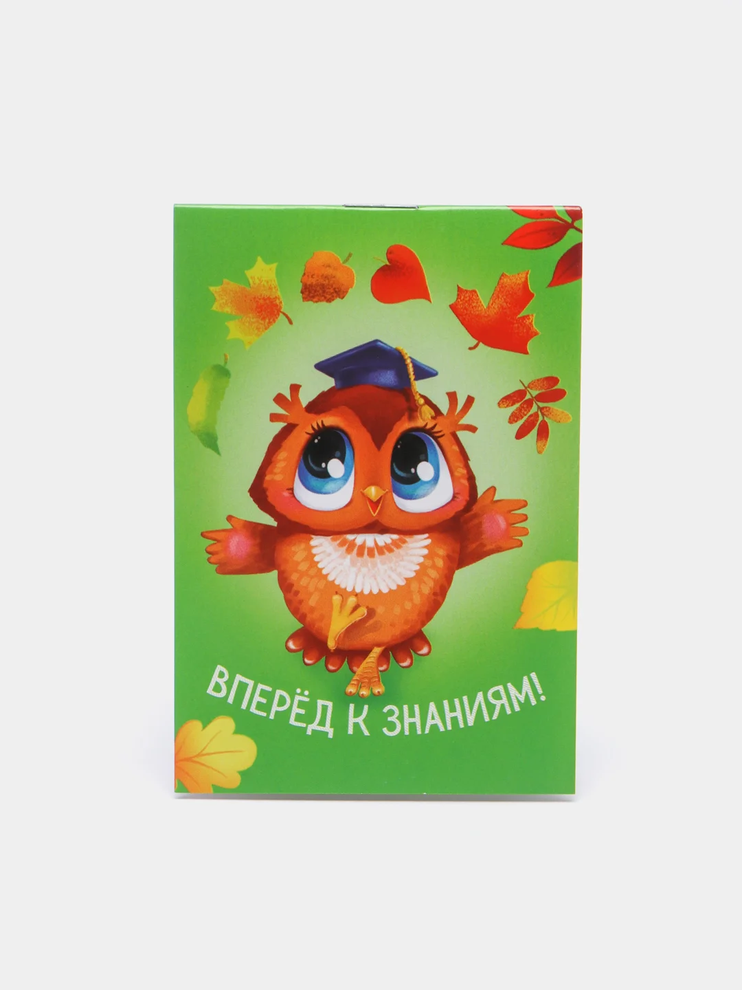 Лесной зеленый мини-блокнот, сувенир на первое сентября, А 7, 16 л