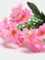 Оранжевый искусственные Цветты Первоцвет Примула