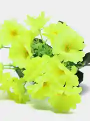 Лимонный искусственные Цветты Первоцвет Примула