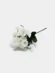 Белый искусственные Цветты Первоцвет Примула