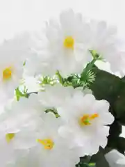 Белый искусственные Цветты Первоцвет Примула