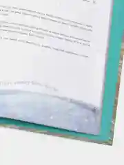 Одна девочка собирала стаю, Анна Фенина