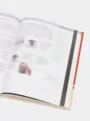 Гениальные носки. Вязание на спицах. Энциклопедия-конструктор, ван дер Линден С., Йостес Э