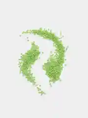 Салатовый бисер чешский Preciosa, Чехия, № 10, Natural Opaque