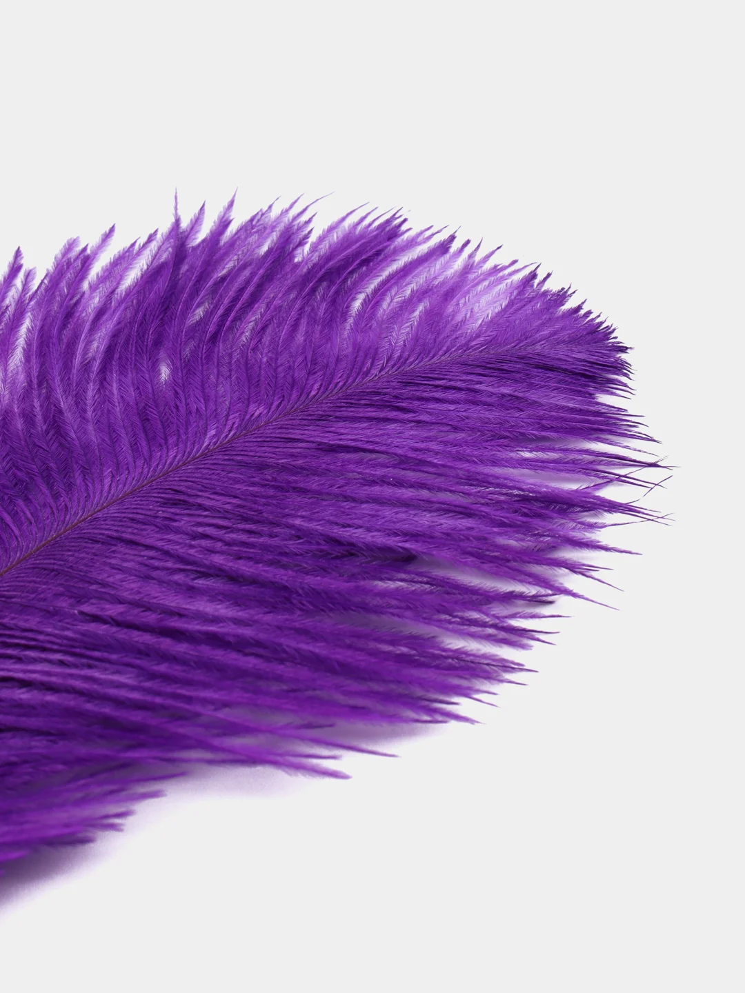 Перья страуса декоративные, 13-18 см, разные цвета, 10 шт