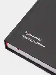 Большие долговые кризисы. Принципы преодоления, Рэй Далио