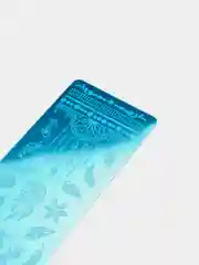 Мятный пластина для стемпинга, для дизайна ногтей