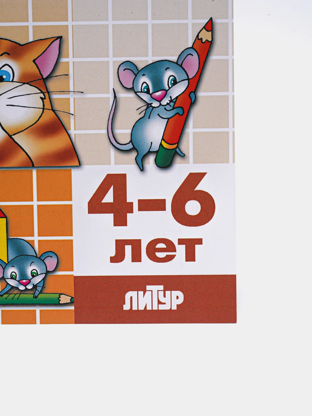 Развиваем навыки письма 4-6 лет. Елена Бортникова. Тетрадь цветная