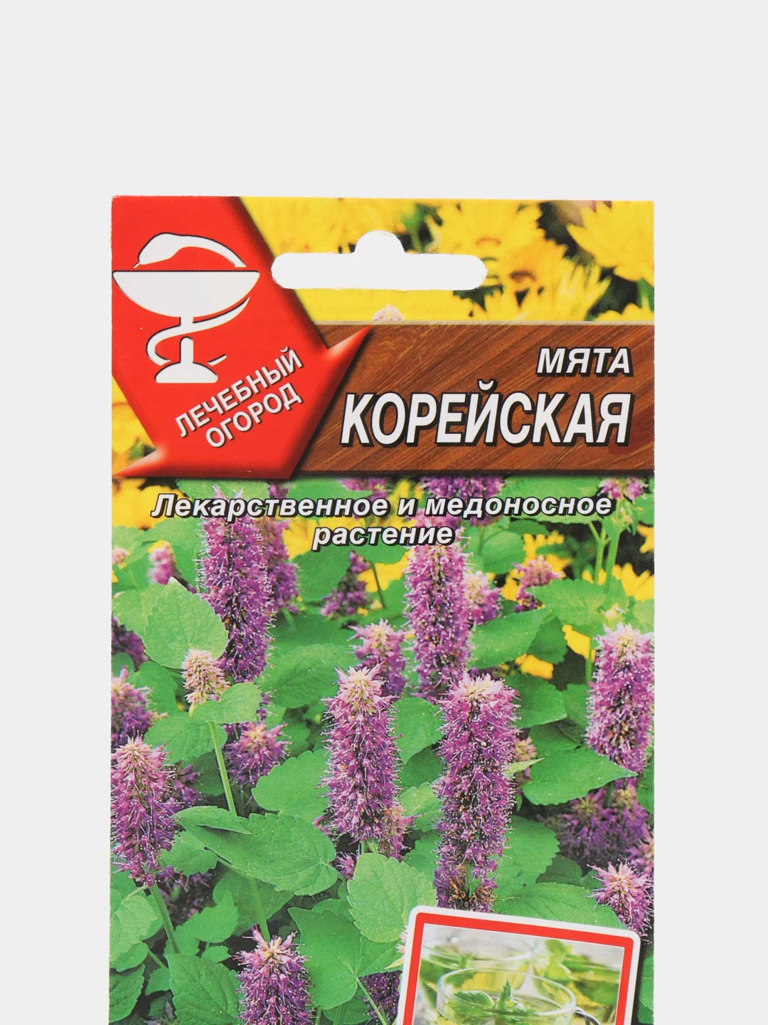 Мята Корейская (семена)