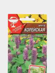 Мята Корейская (семена)