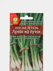 Лук Лучок на пучок на зелень (семена)