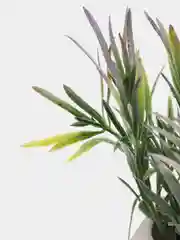 Фиолетовый искусственные цветы. Искусственная зелень.