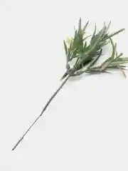 Фиолетовый искусственные цветы. Искусственная зелень.