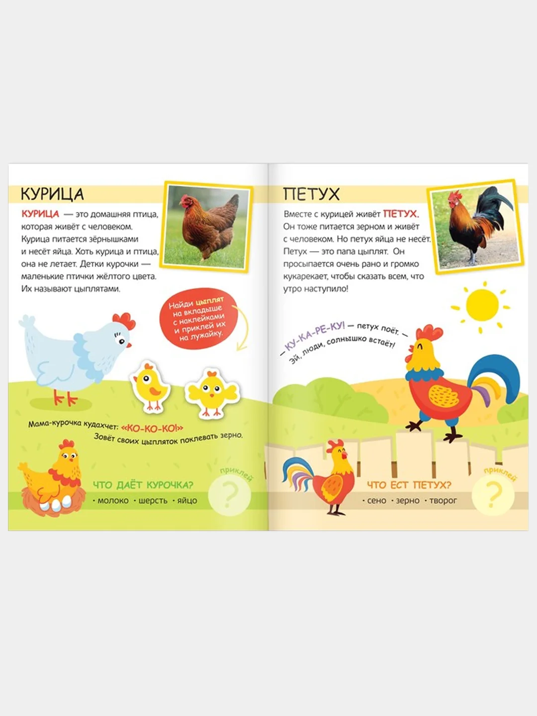 Лайм книжка с наклейками "Читай, играй, узнавай", 16 страниц