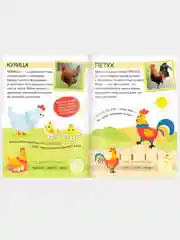 Лайм книжка с наклейками "Читай, играй, узнавай", 16 страниц