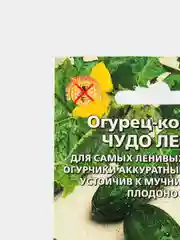 Огурец-корнишон Чудо лентяя F1 (семена)