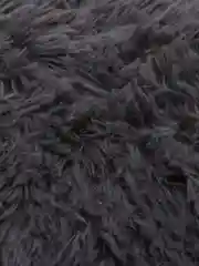 Угольный пушистый плед / Яркий плед / Меховой плед / Эконом упаковка
