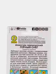 Семена Алиссум приморский "Горный снег" набор 1, 3, 5 уп