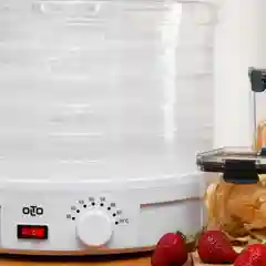 Сушилка для овощей и фруктов OLTO HD-30