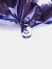 Фиолетовый воздушный шар "Цифра 2" фиолетовый 100 см