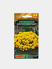 Алиссум Золотой самородок (семена,цветы)