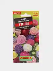 Астра Гном смесь, семена, цветы