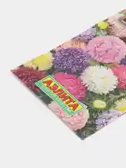 Астра Гном смесь, семена, цветы
