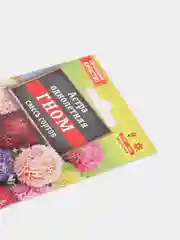 Астра Гном смесь, семена, цветы