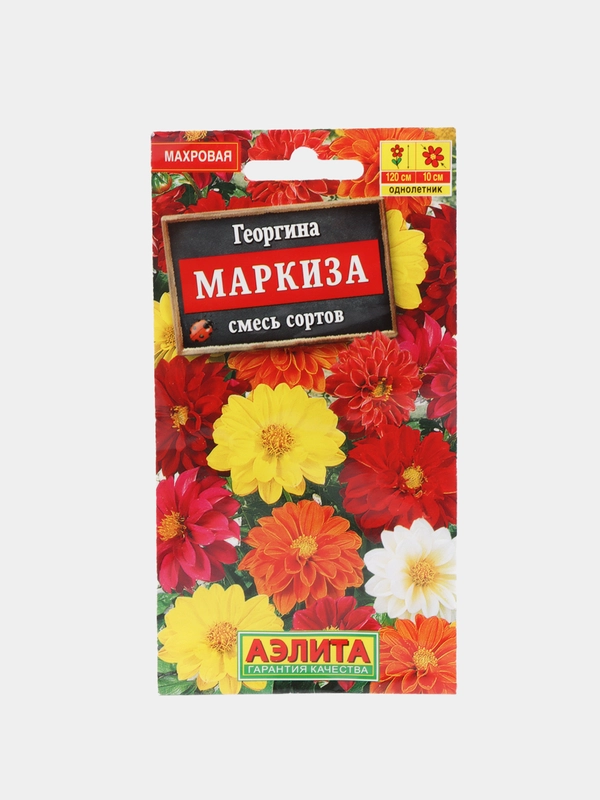 Семена цветы "Георгина Маркиза"