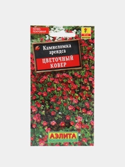 Семена цветы "Камнеломка Цветочный ковер"