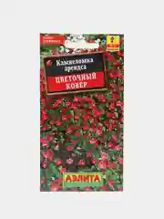 Семена цветы "Камнеломка Цветочный ковер"