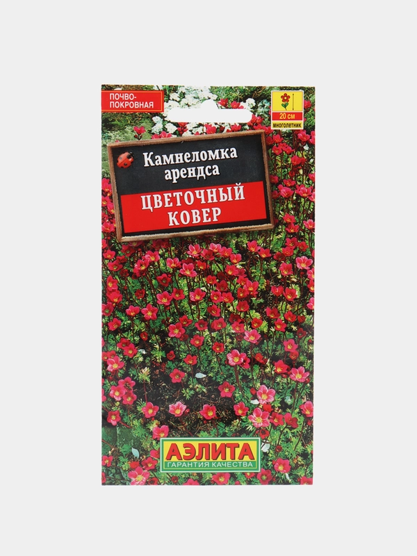 Семена цветы "Камнеломка Цветочный ковер"