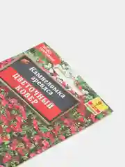 Семена цветы "Камнеломка Цветочный ковер"