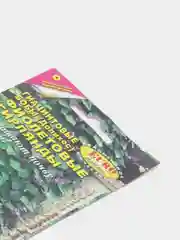 Бобы (долихос) Фиолетовая гирлянда, семена, цветы