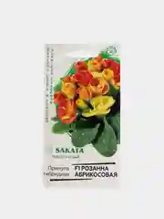 Оранжевый семена цветов примула, разные сорта
