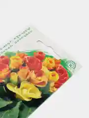 Оранжевый семена цветов примула, разные сорта