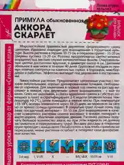 Красный семена цветов примула, разные сорта