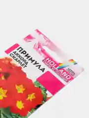 Красный семена цветов примула, разные сорта