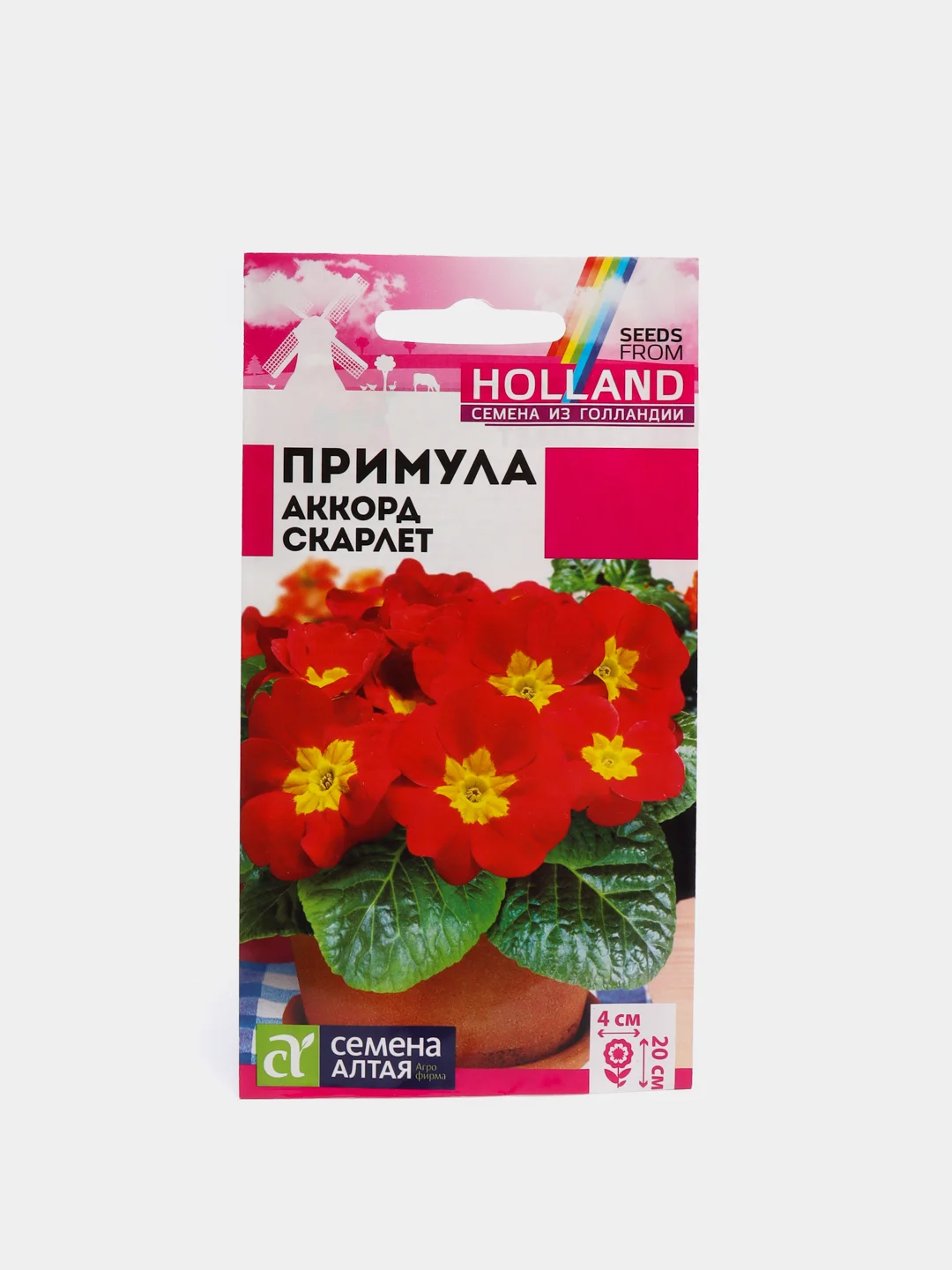 Красный семена цветов примула, разные сорта