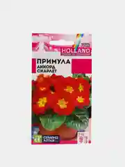 Красный семена цветов примула, разные сорта