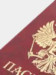 Бордовый обложка на паспорт чехол с гербом