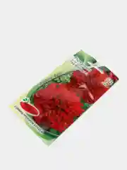 Красный семена цветов Петуния, разные сорта